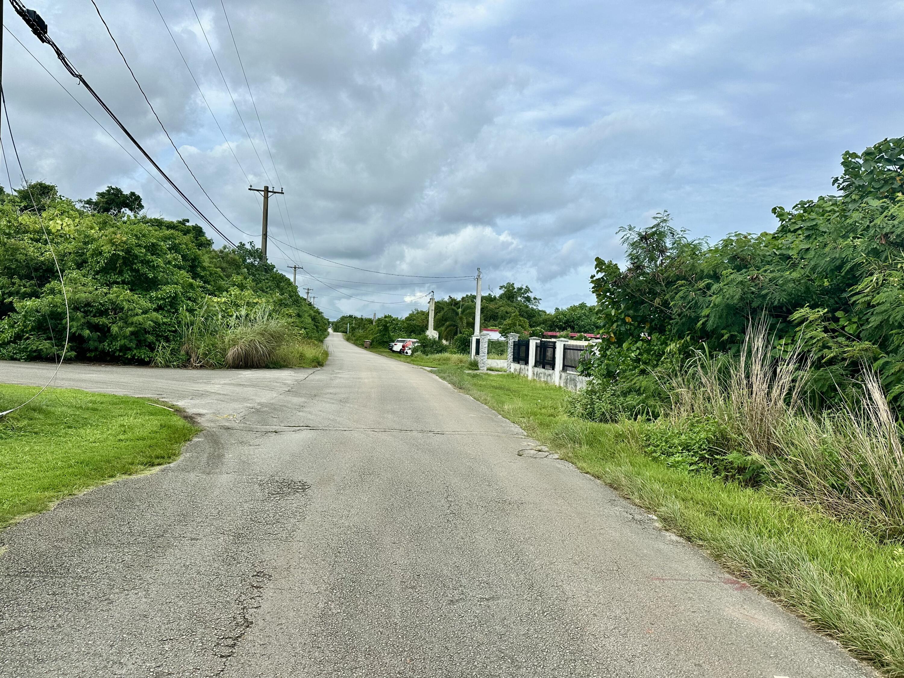 Camelia Lane (L1-R2-R1,T293)