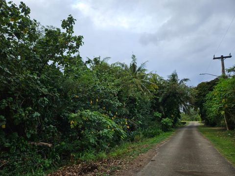 Kamachilli Road Hagat  96915