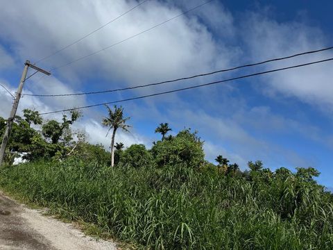 mandarine lane Mangilao  96913