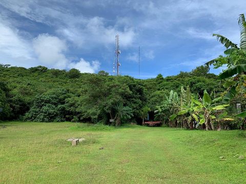 Areca Palm/Achu Mali St.(2) Mangilao  96913