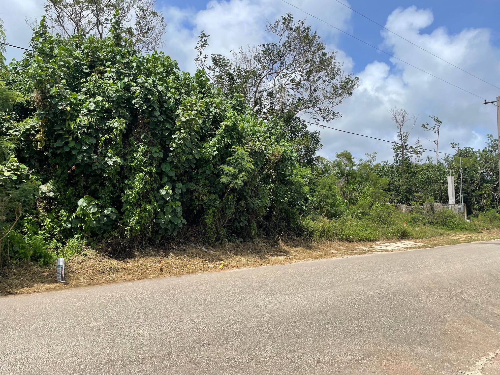Chalan Paipai L1 B1 Tract 282