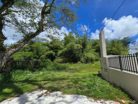 Chalan Mannga Ordot-Chalan Pago  96910