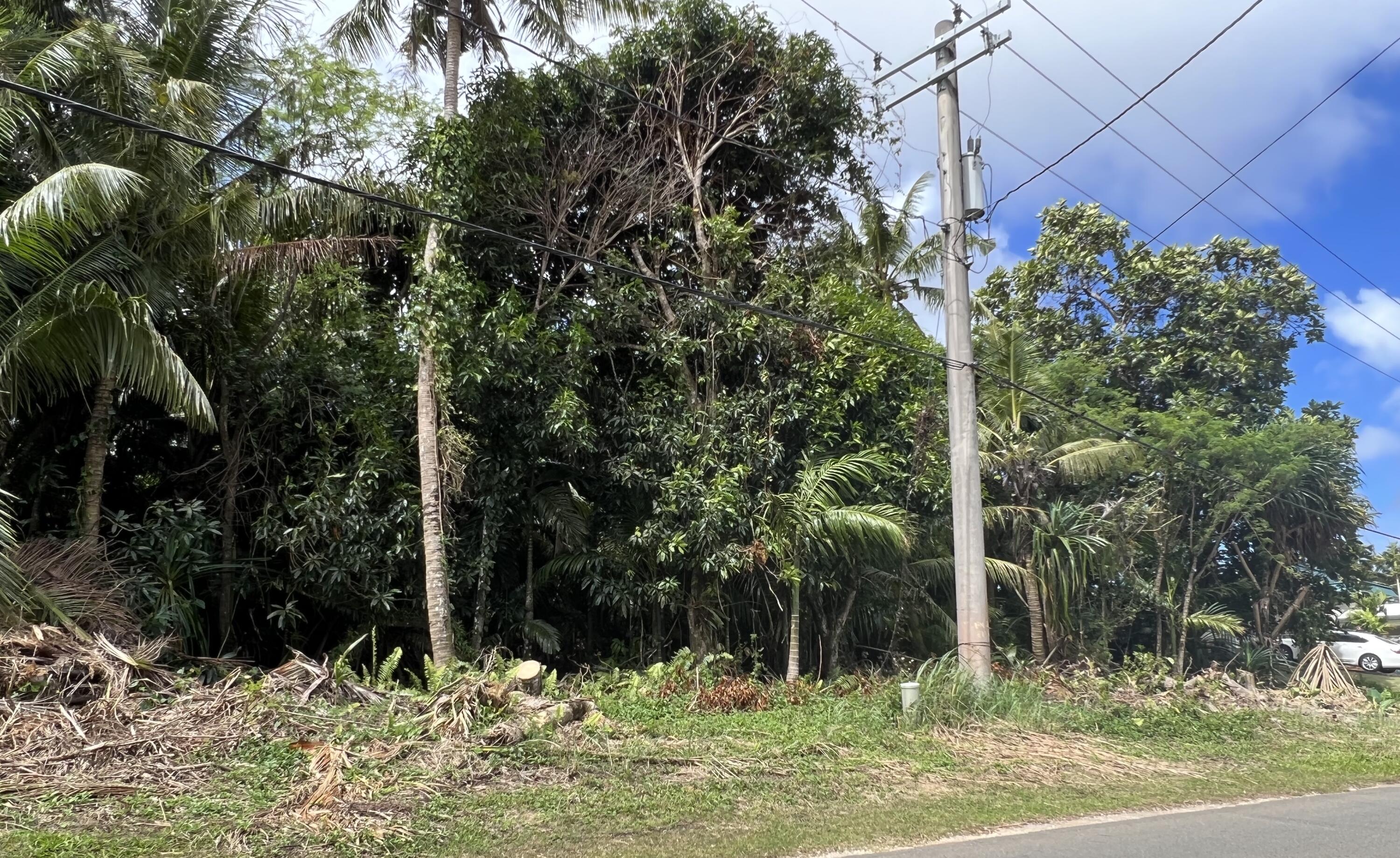 Route 17 Cross Island L401-20New-R3 Road