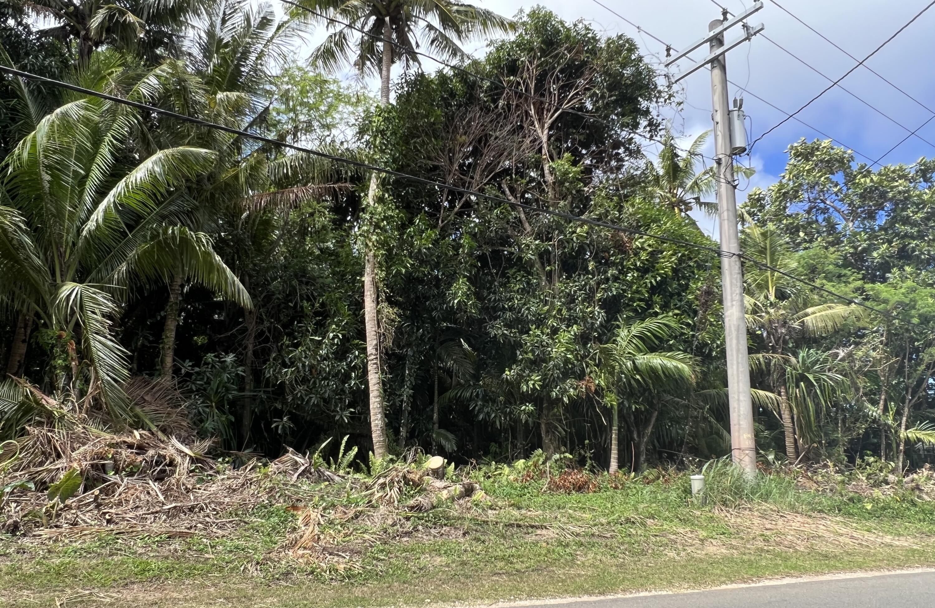 Route 17 Cross Island L401-20New-R3 Road