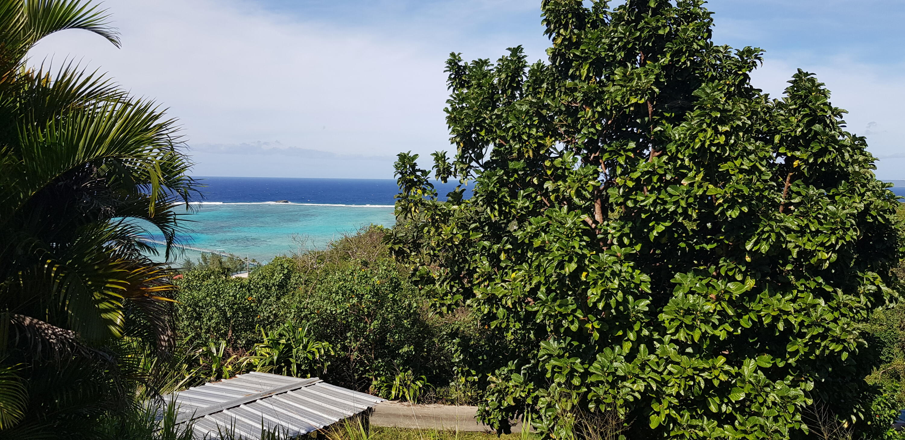 Ocean Summit