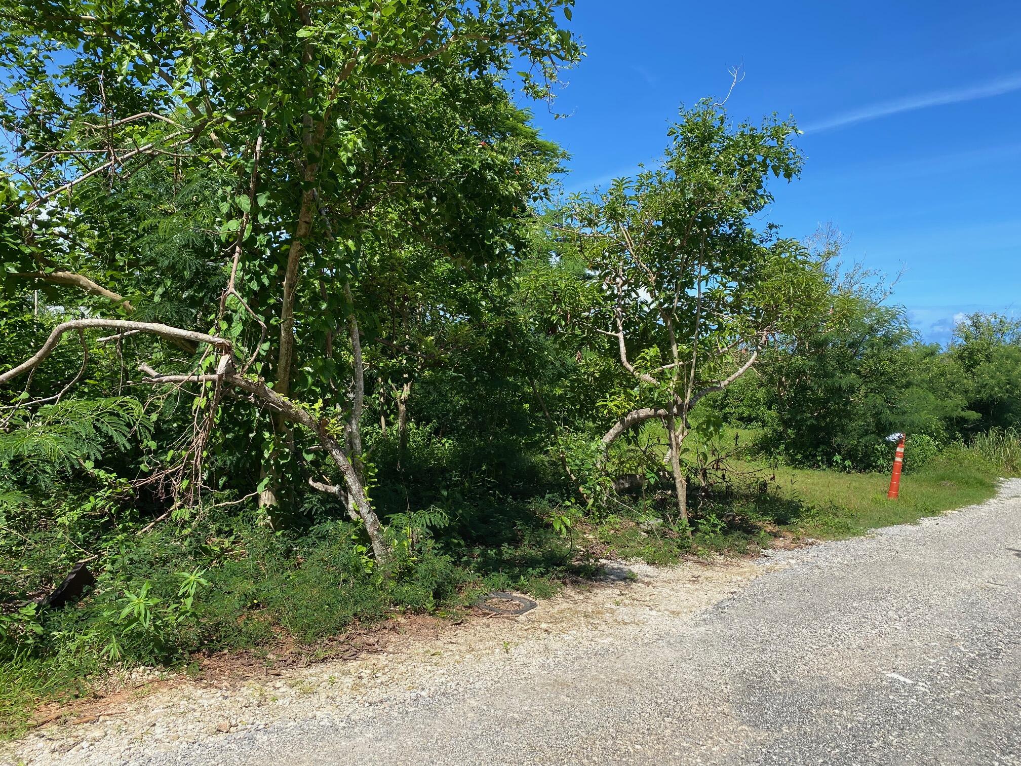 Marbo Cave Road