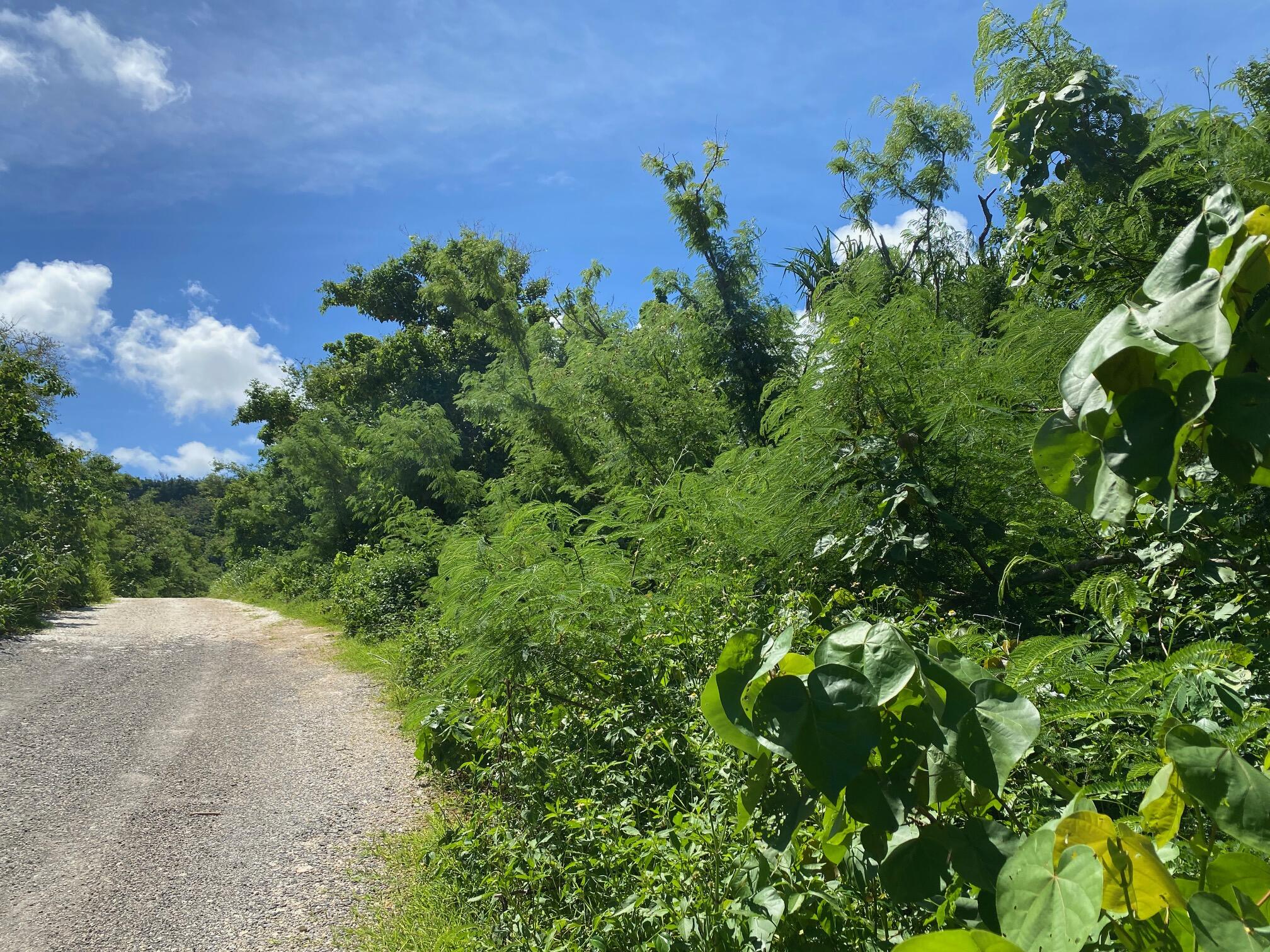 Marbo Cave Road