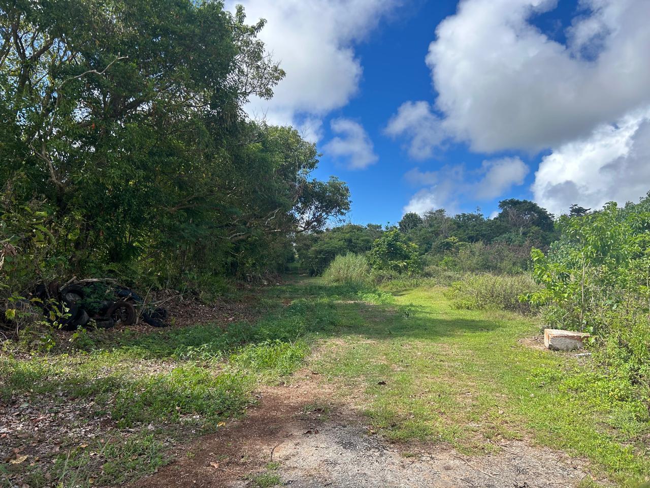 Lot 6-12, Tract 911