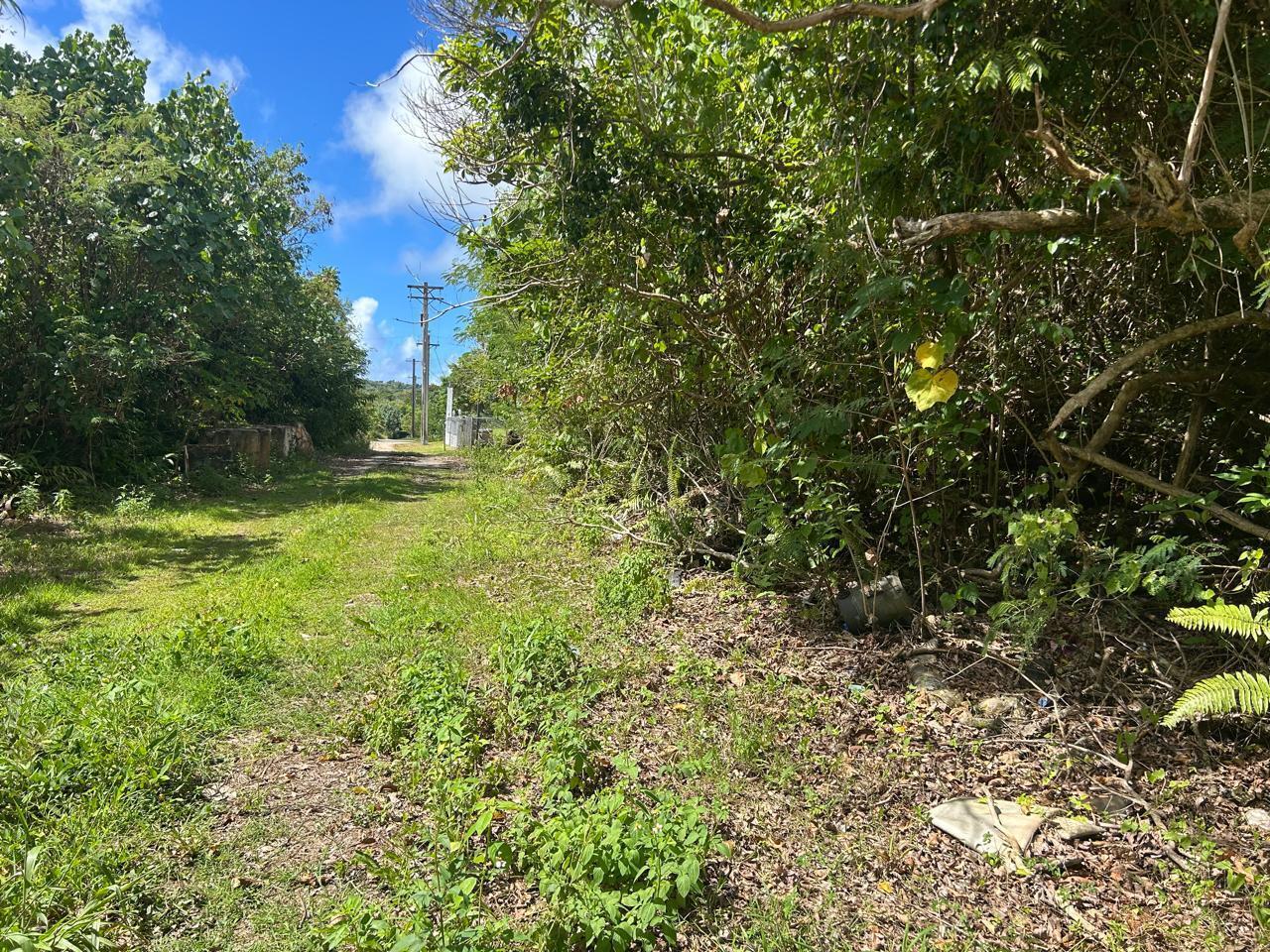 Lot 6-12, Tract 911