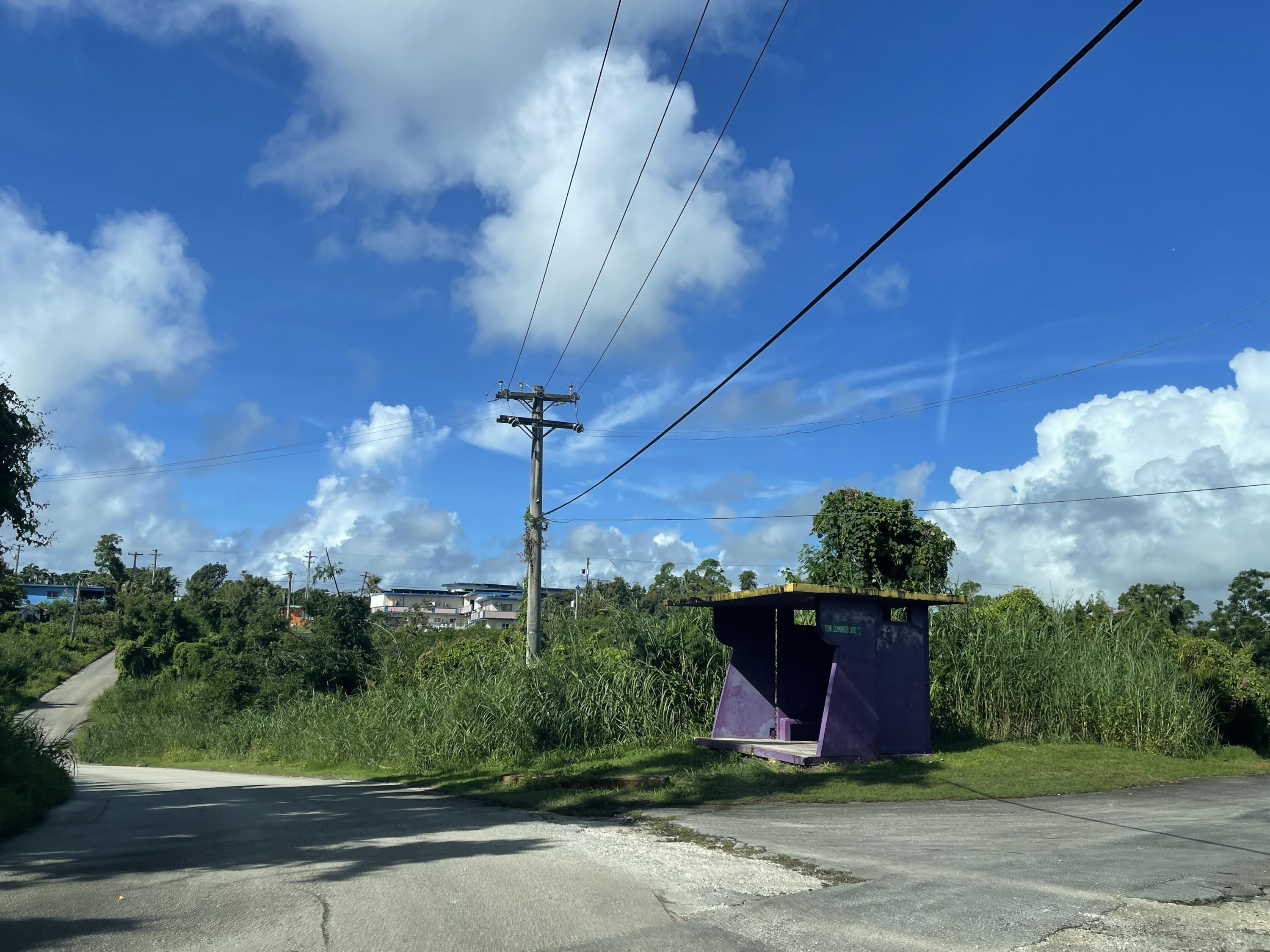 Blas/Tun Domingo Joe (L2392-2) Court