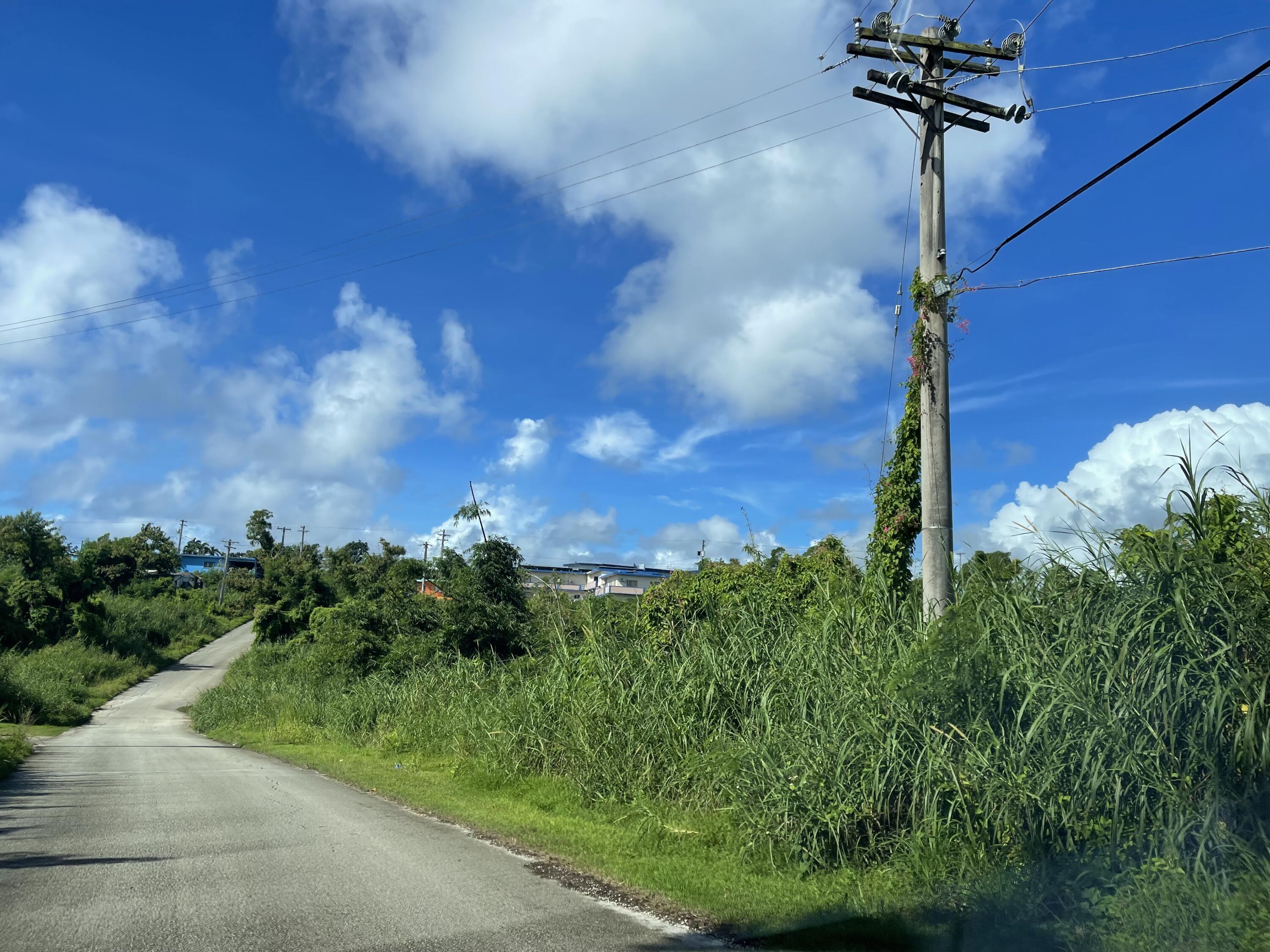 Blas/Tun Domingo Joe (L2392-2) Court