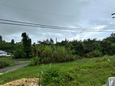 Chalan Chirik (Lot 5441-3) Ordot-Chalan Pago  96910