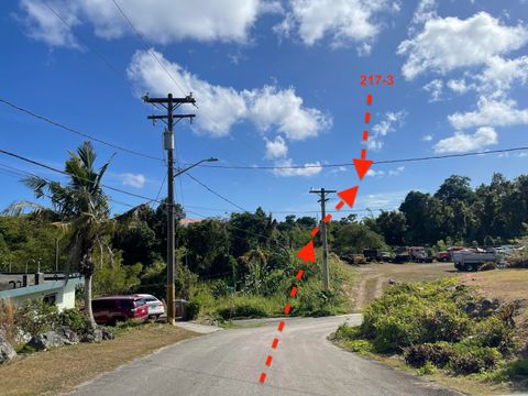 Agaham & Atnebat L217-3 Asan  96910