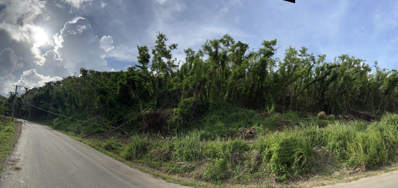 L6 Blk 2 Tr2641 Chalan Aguon