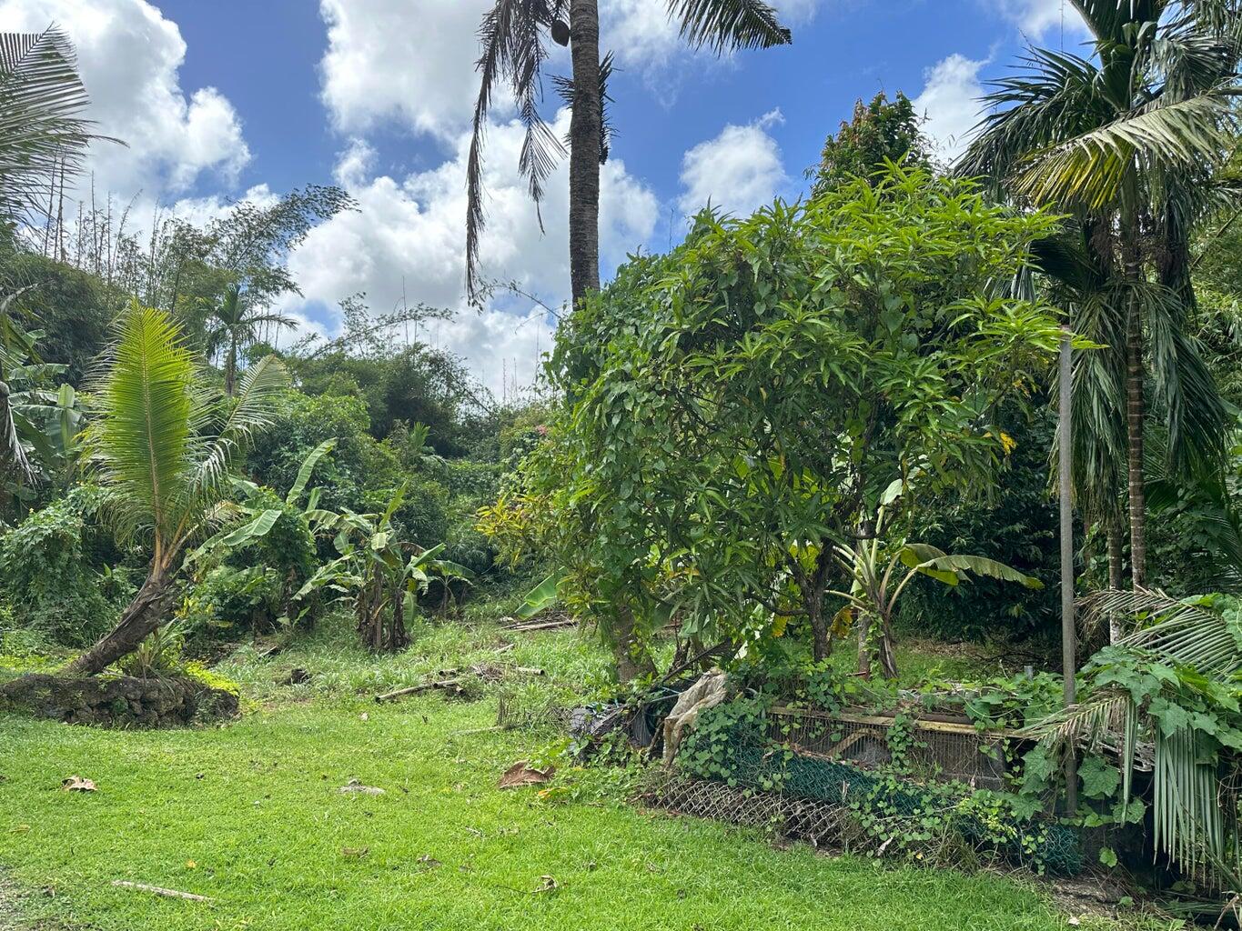 L150-R14 Off of Peperu Lane