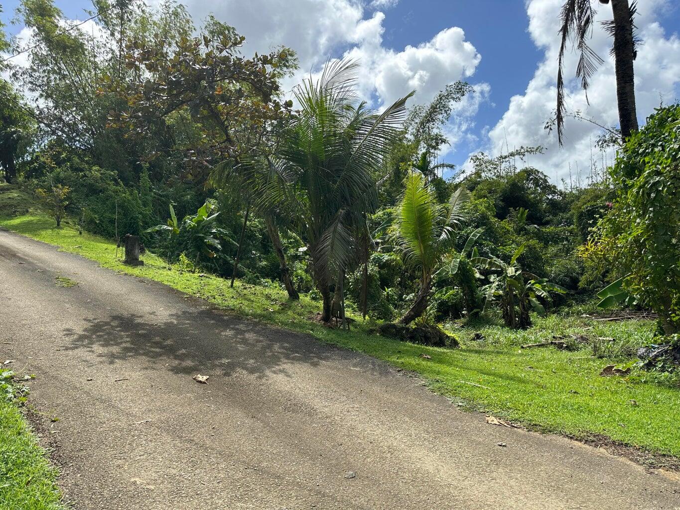 L150-R14 Off of Peperu Lane