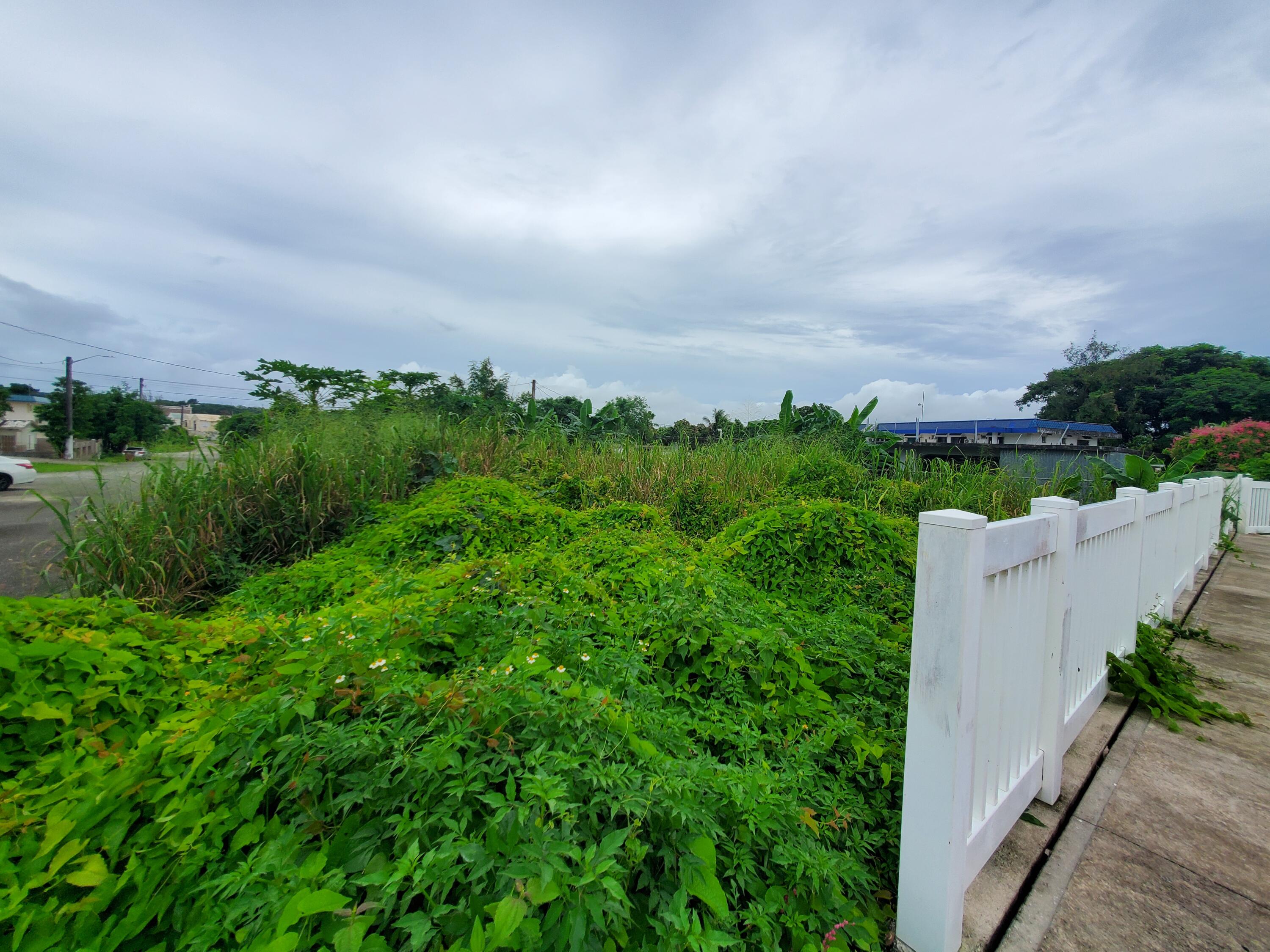 Tumon Heights Court