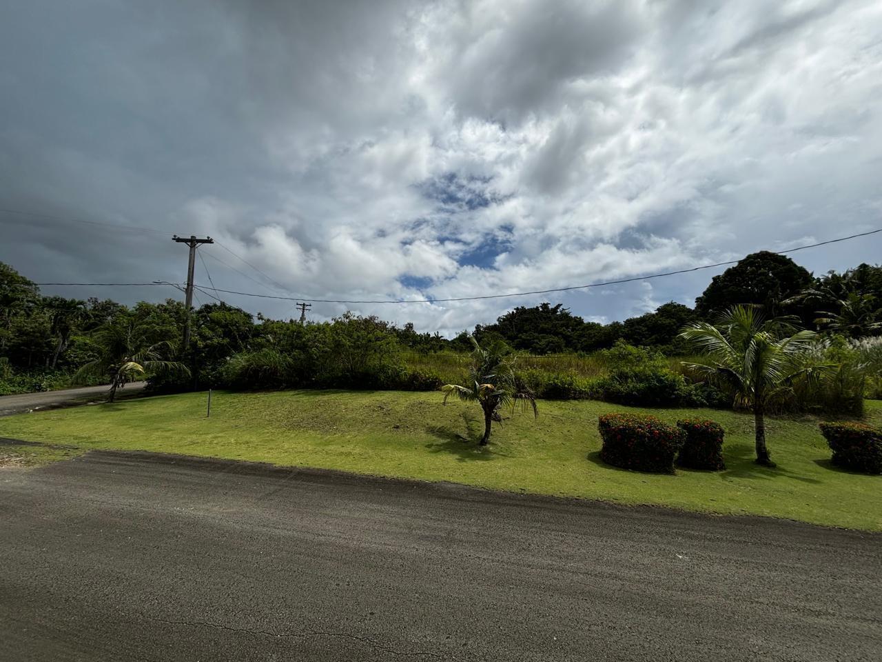 Flores Rosa-Windward Hills PH1