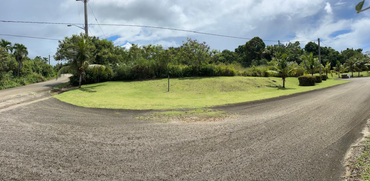 Flores Rosa-Windward Hills PH1