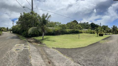 Flores Rosa-Windward Hills PH1 Yona  96915