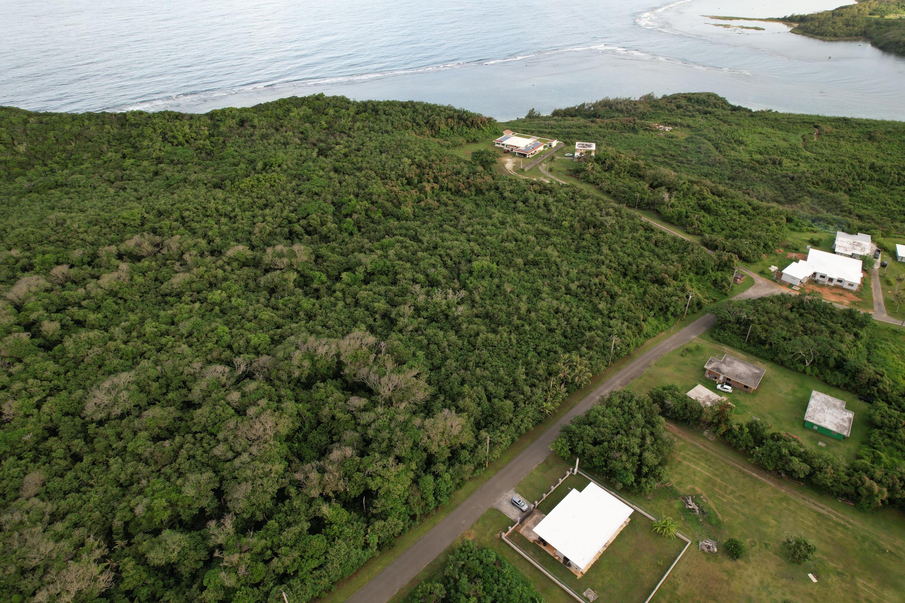 Camp Witek