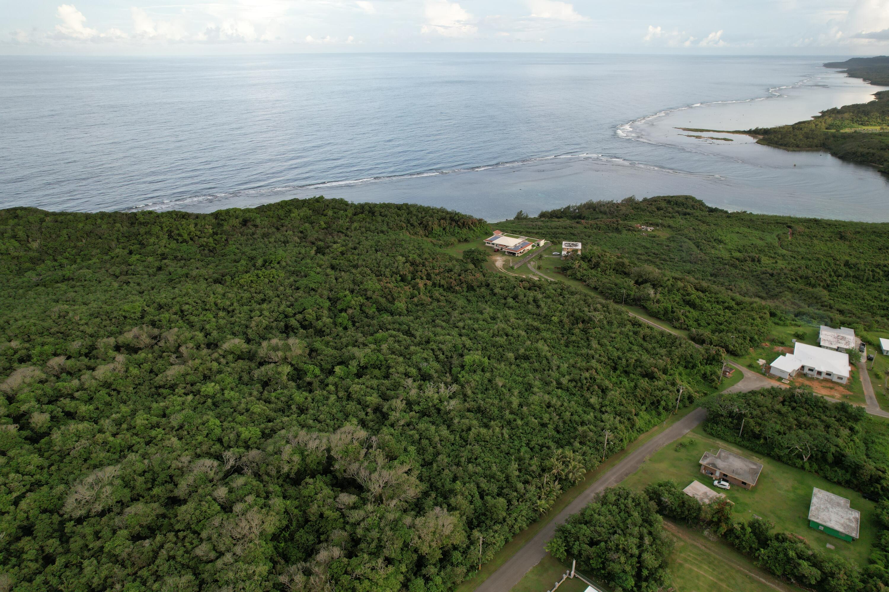 Camp Witek