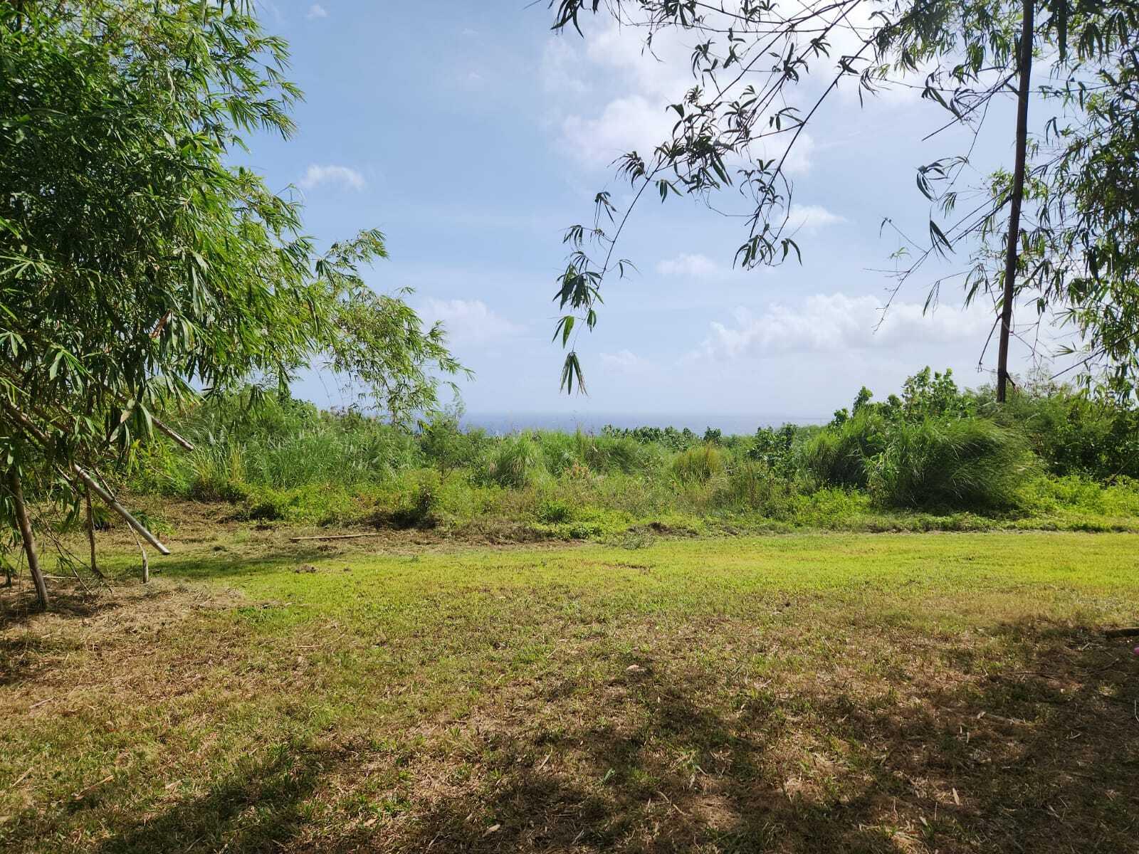 Lot 92-A-5