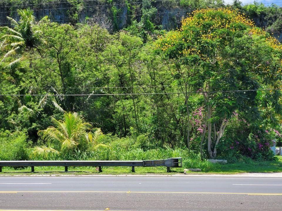 Rt. 1 Hwy