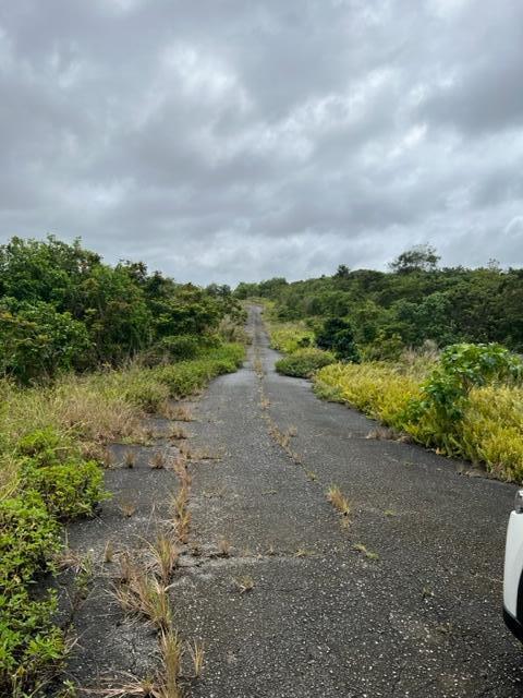 off Route 3 (2)