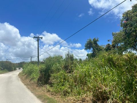Sabana Magas Mangilao  96913