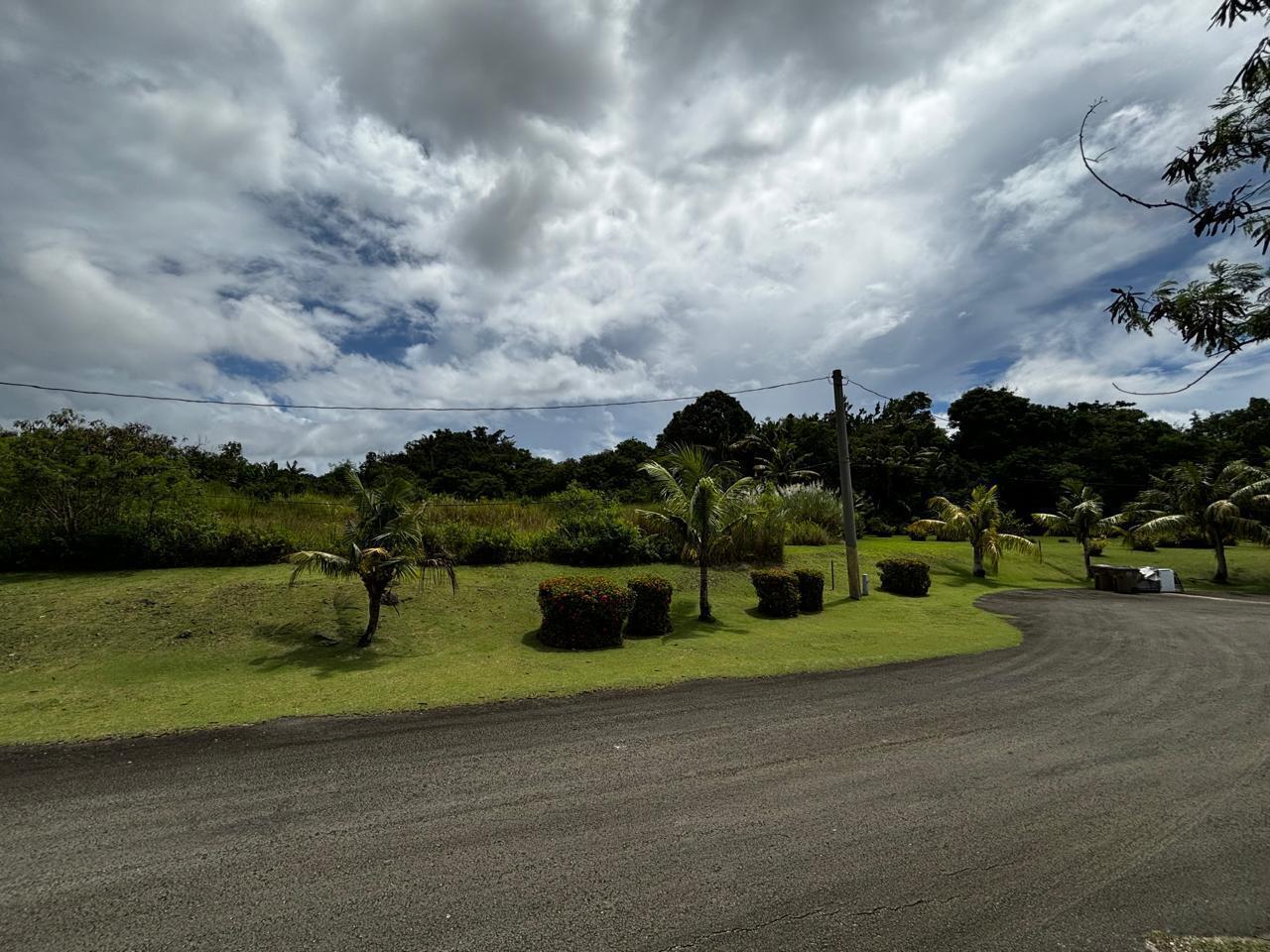 Flores Rosa-Windward Hills PH1