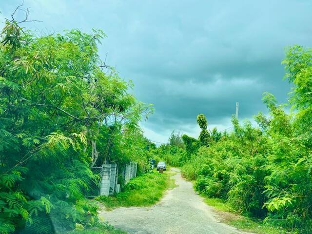 Lot 8. Blk 2, Tract 1049