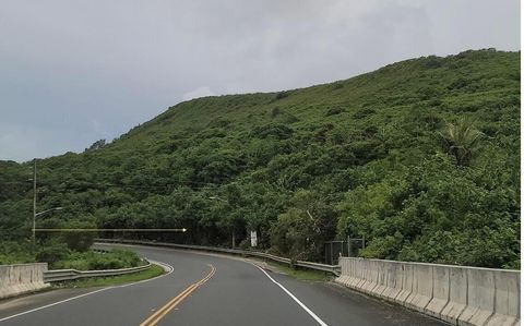 Route 4 Yona  96915