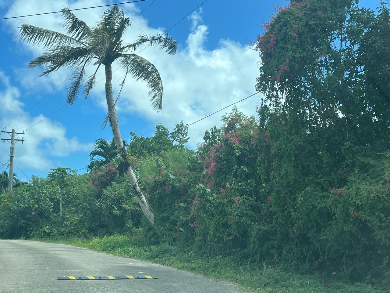 Lot 9-8 Chalan Tun Gregorio Street