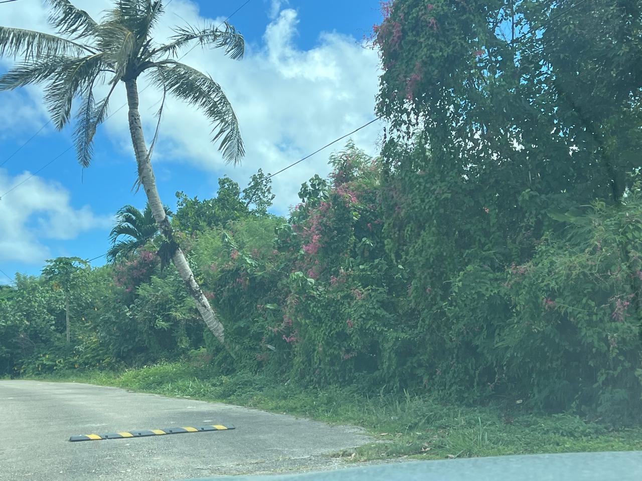Lot 9-8 Chalan Tun Gregorio Street