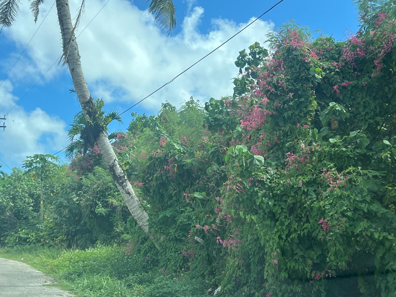 Lot 9-8 Chalan Tun Gregorio Street