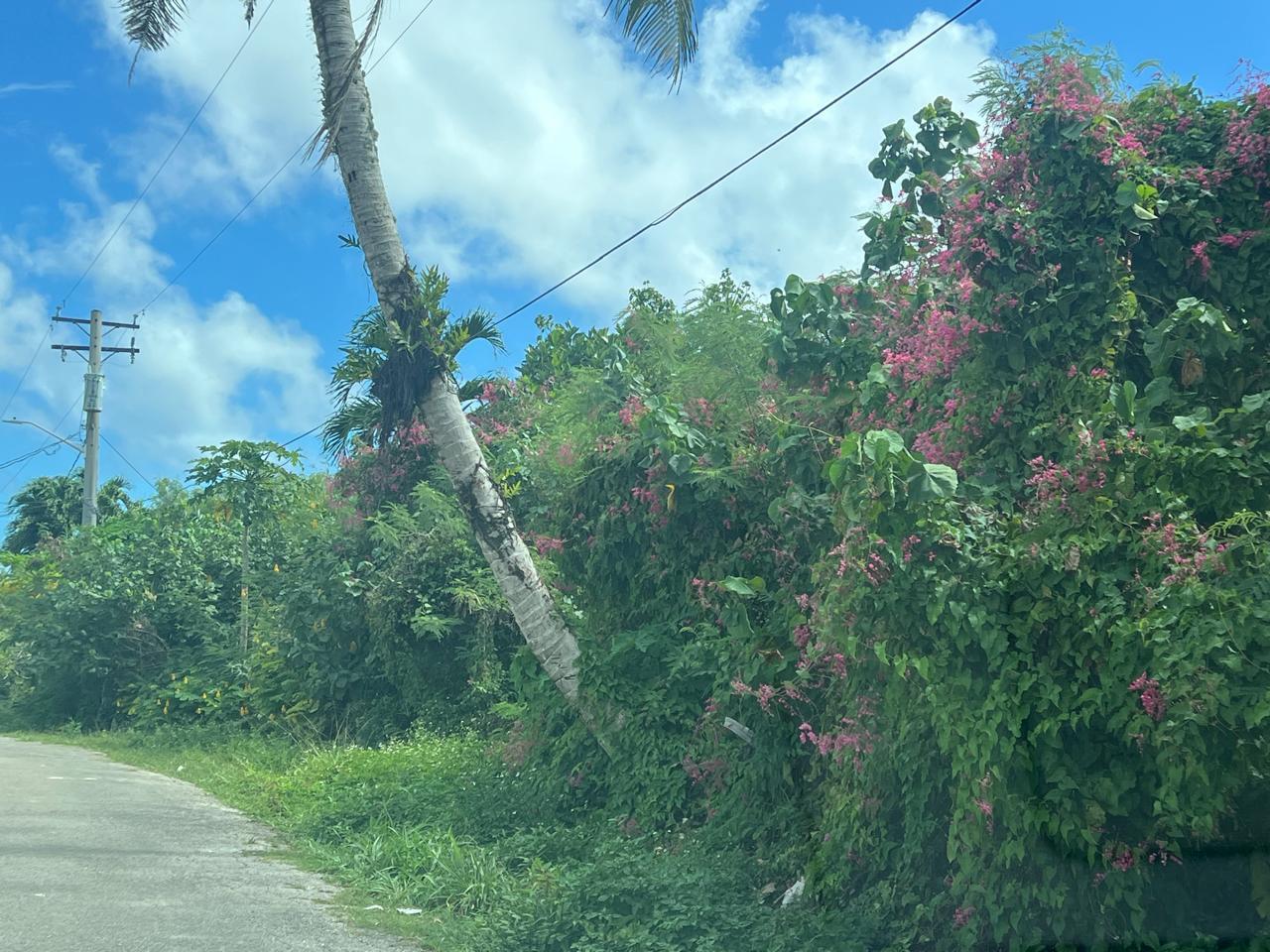 Lot 9-8 Chalan Tun Gregorio Street