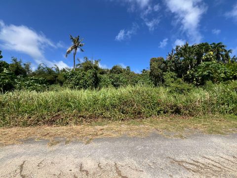 M06 Tract 3533 Lot 7 Inalahan  96915