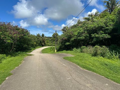Chagamin Lago Avenue Inalahan  96915