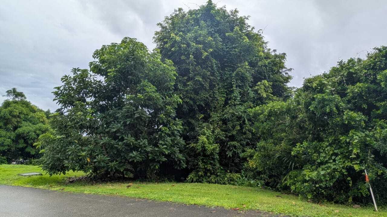 L6 B4 T76 - Fairway Drive