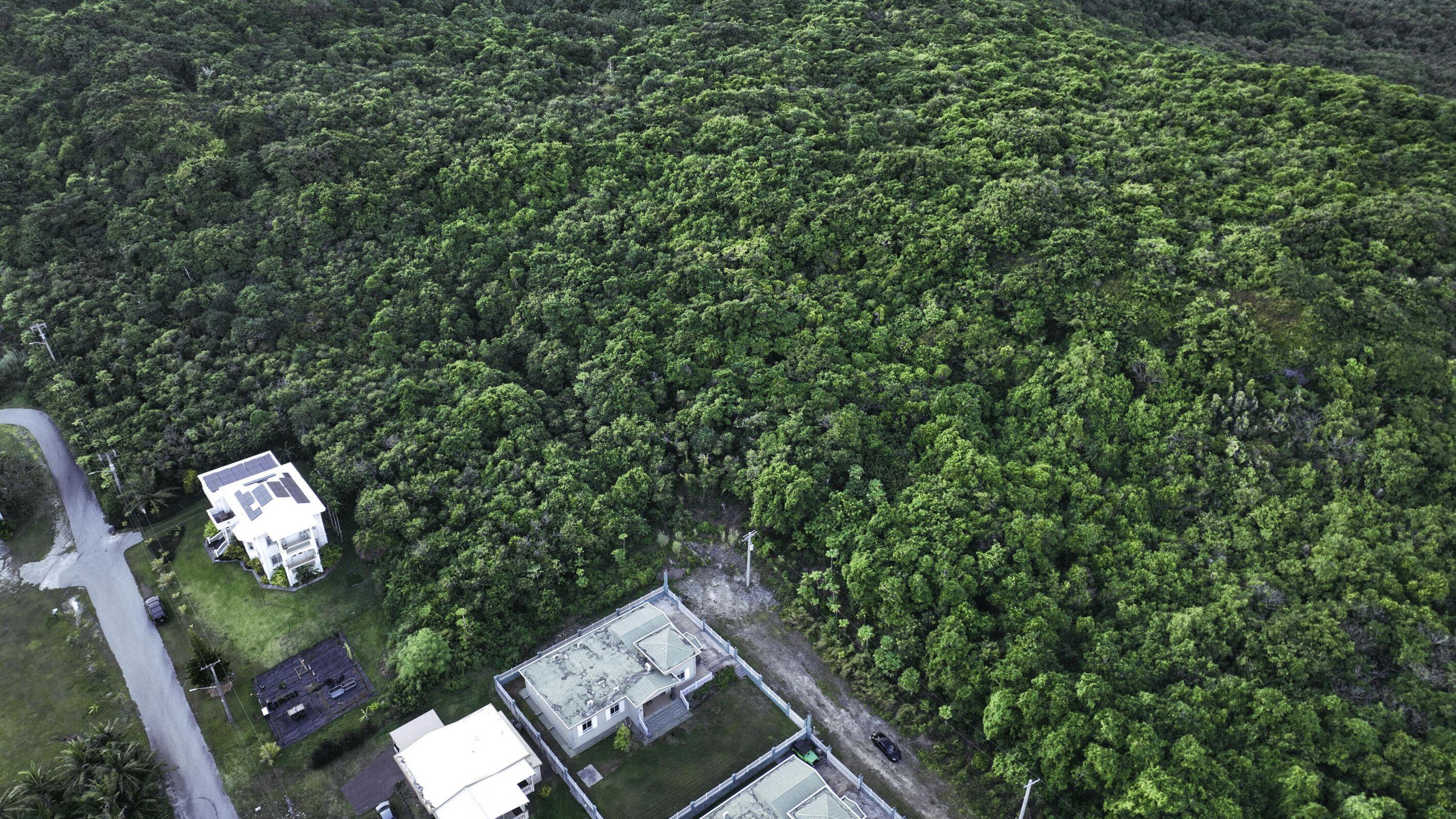 Lot 12-1 Along Perez Heights