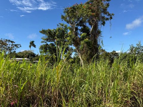 Dairy (Lot 2401-11) Road Mangilao  96913