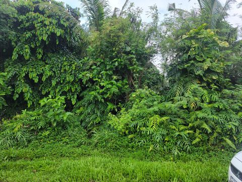 Lot 189-1NEW-2 Off Umang Road Hagat  96915