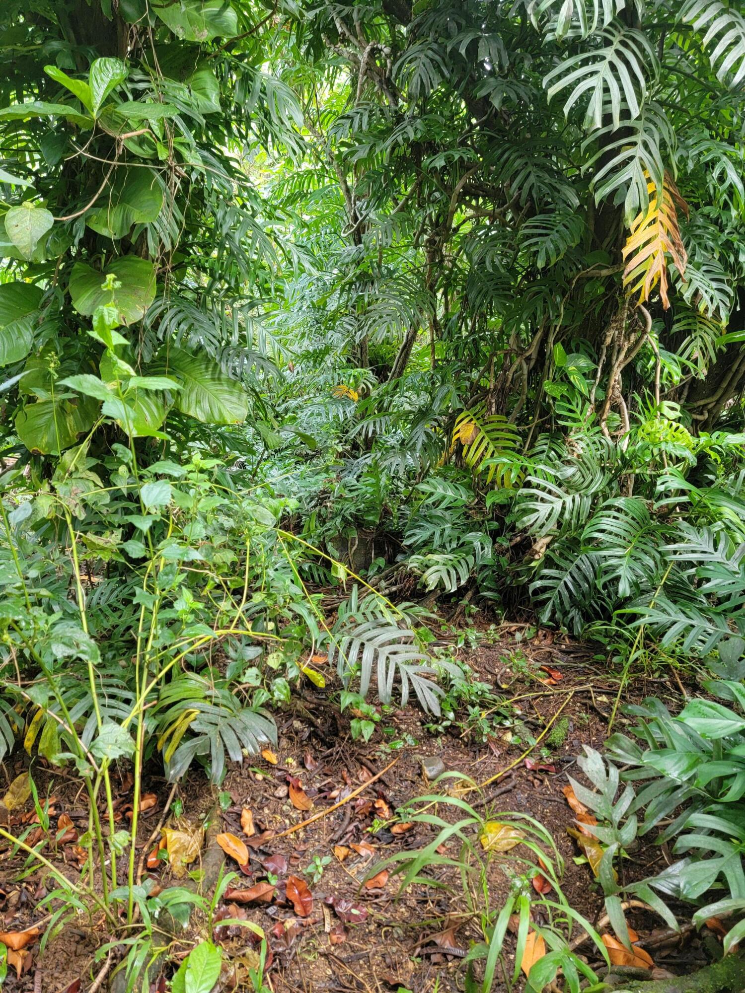 Lot 189-1NEW-2 Off Umang Road