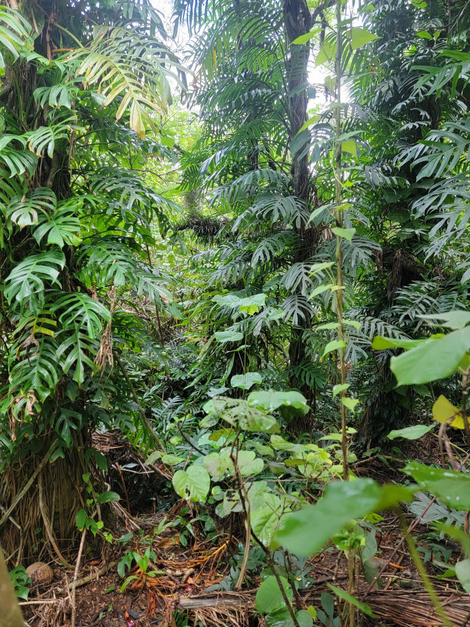 Lot 189-1NEW-2 Off Umang Road