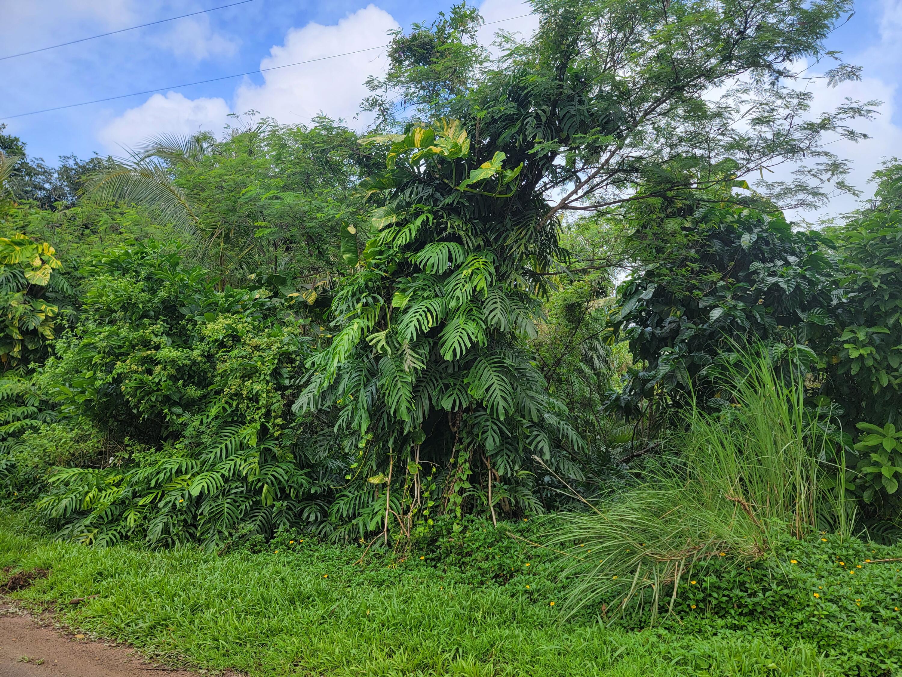 Lot 189-1NEW-2 Off Umang Road