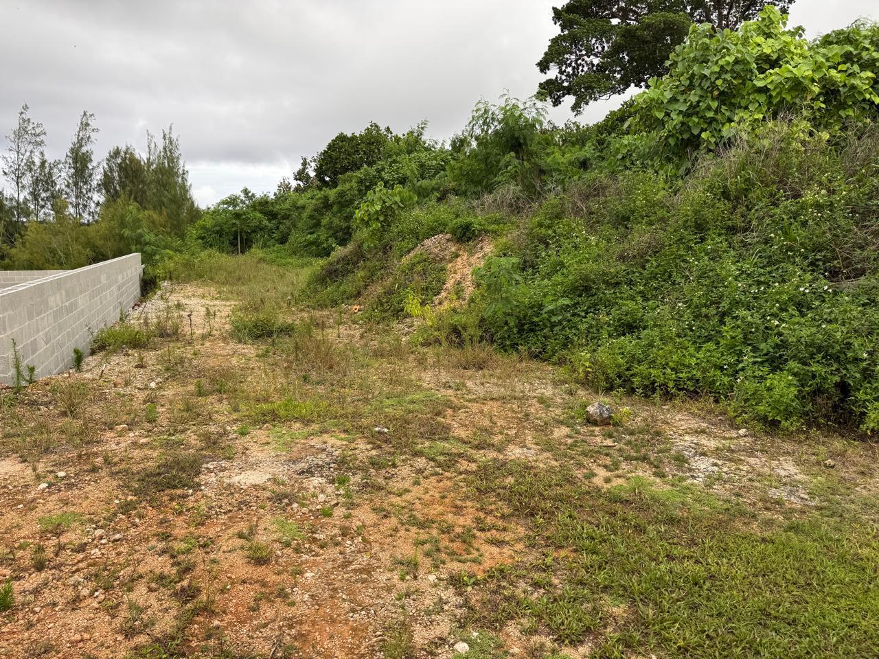Lot 4, Asardas Drive