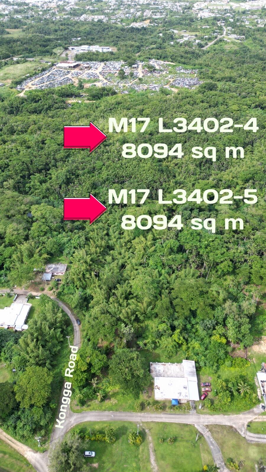 M17, L3402-5