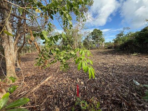 L6, B2, T1946, Pali Court Ordot-Chalan Pago  96910