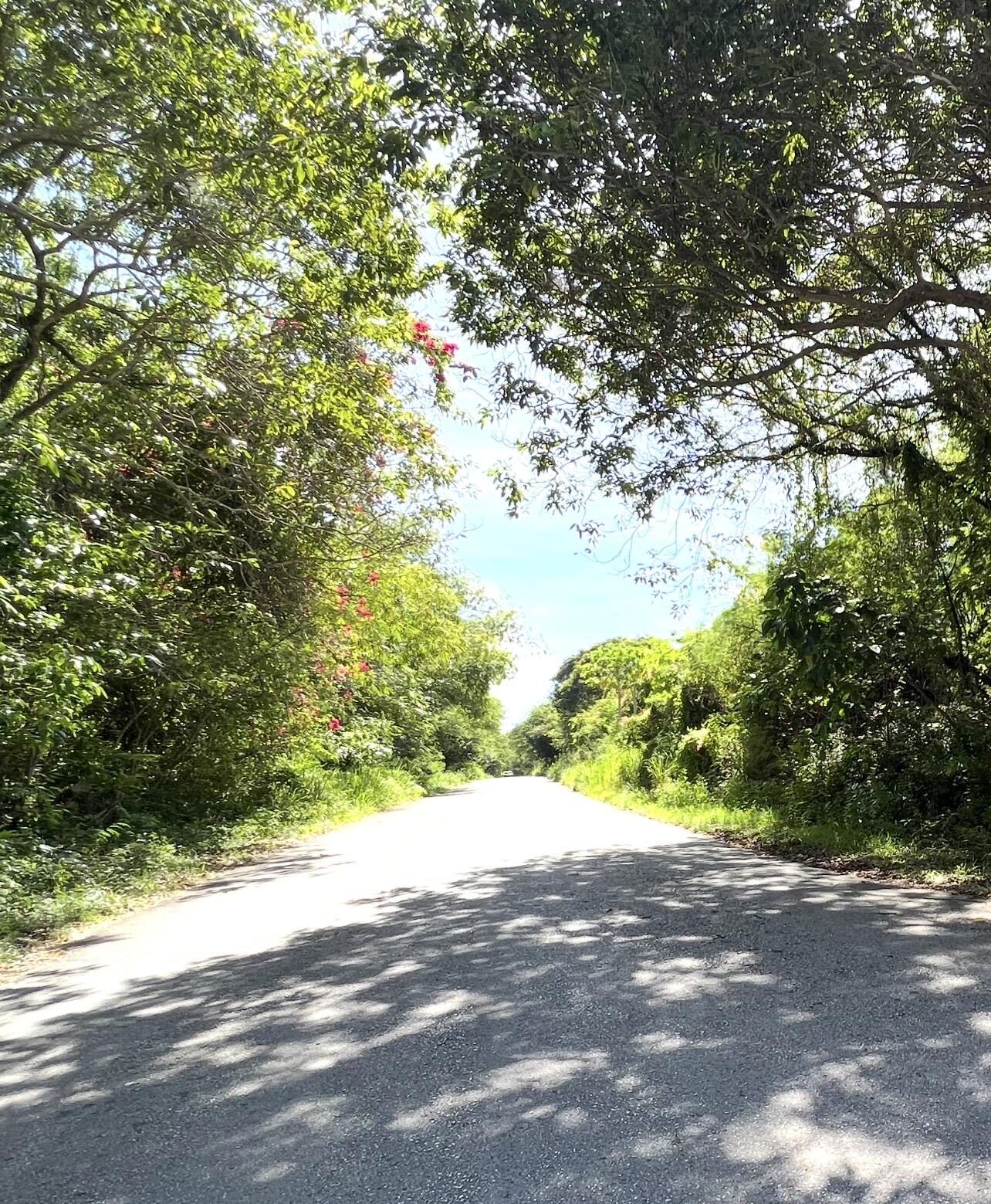 As-Suilo Road
